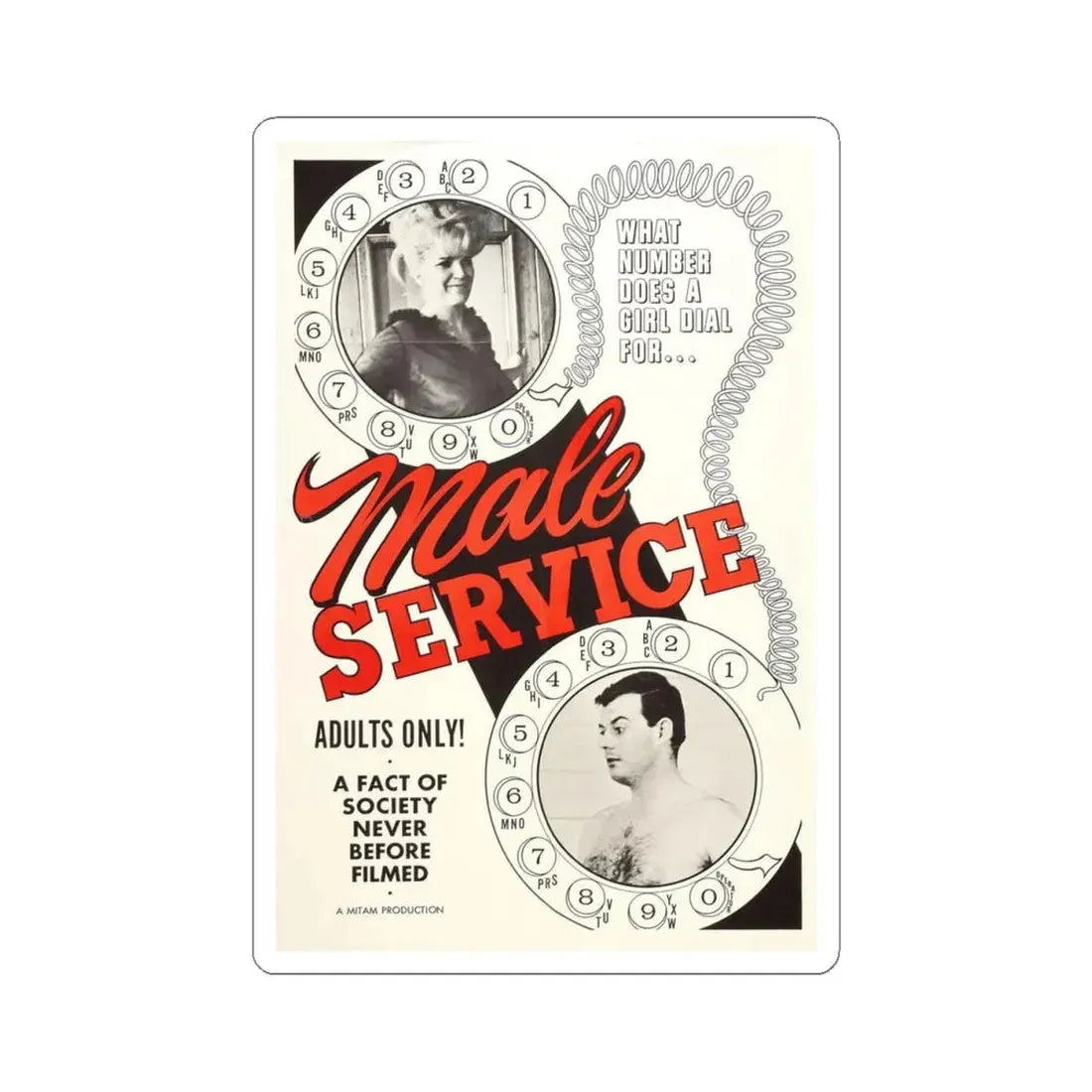 MALE SERVICE 1966 Movie Poster - STICKER Vinyl Kiss-Cut Decal 4 Inch White - The Sticker Space