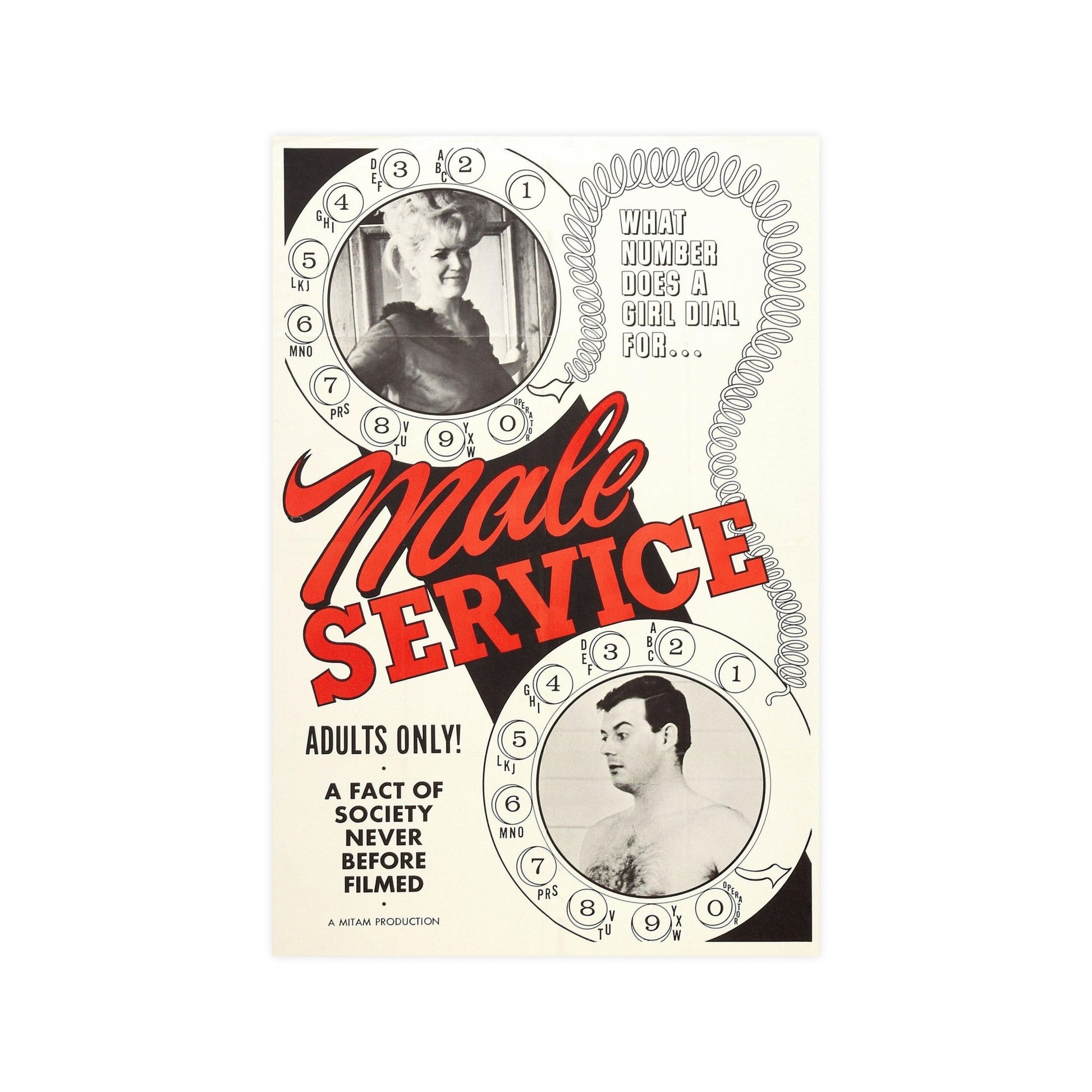 MALE SERVICE 1966 - Paper Movie Poster-12″ x 18″ (Vertical)-The Sticker Space