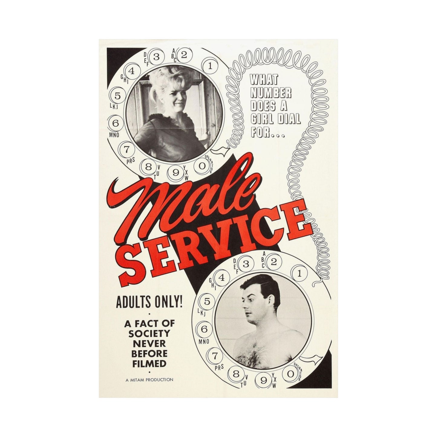 MALE SERVICE 1966 - Paper Movie Poster-The Sticker Space