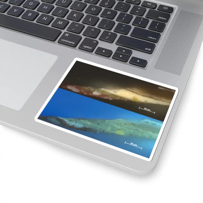 SKU:TSS-STICK-MRGHVR-4X4-7 Sizes:4" × 4" Types:White