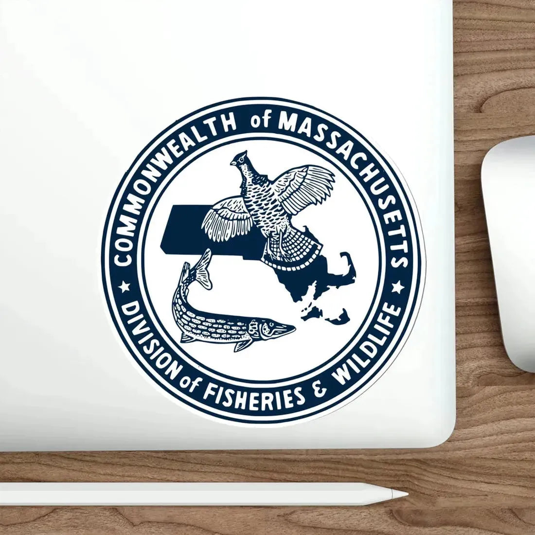Massachusetts Fish and Wildlife STICKER Vinyl Die-Cut Decal - The Sticker Space