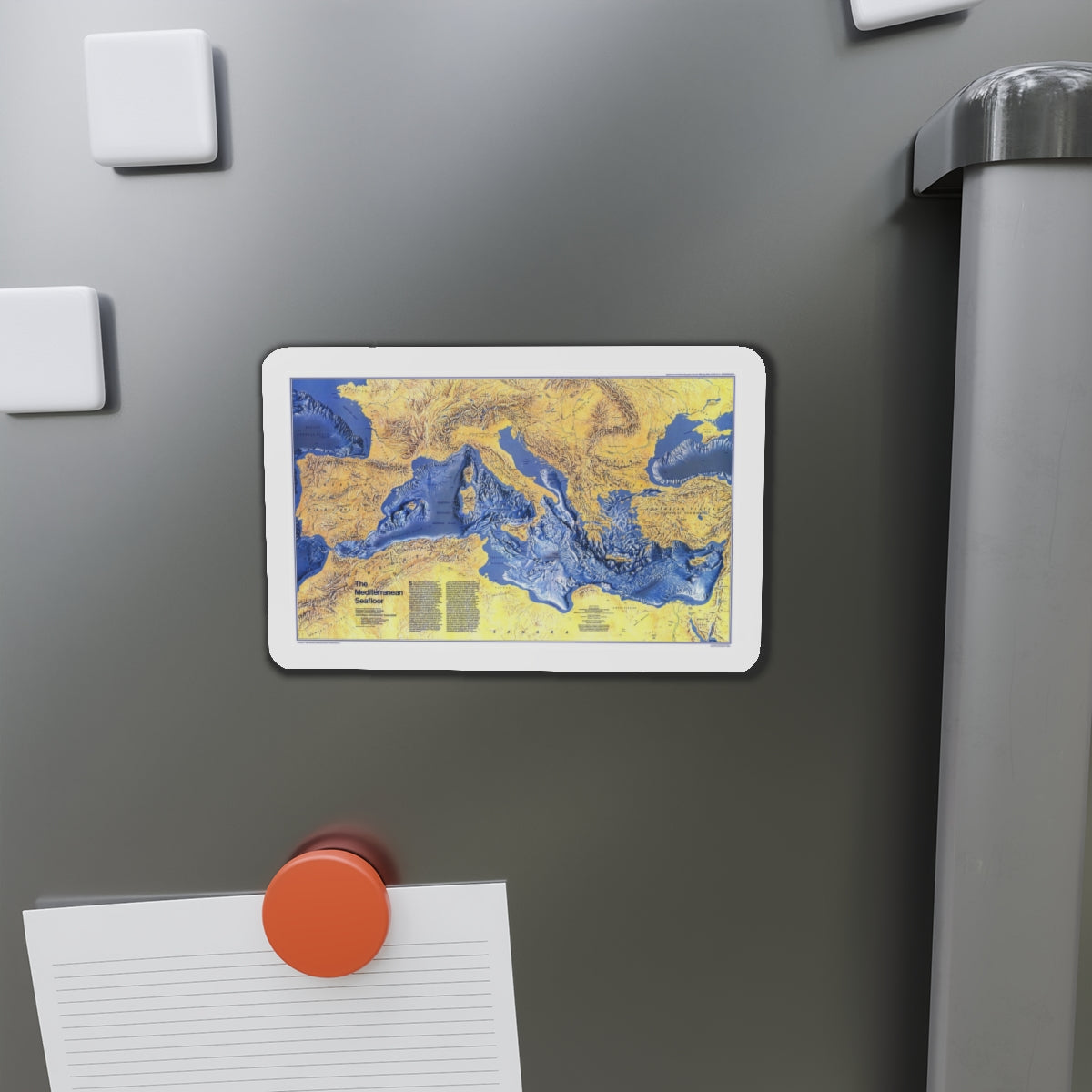 Mediterranean Seafloor (1982) (Map) Refrigerator Magnet-The Sticker Space