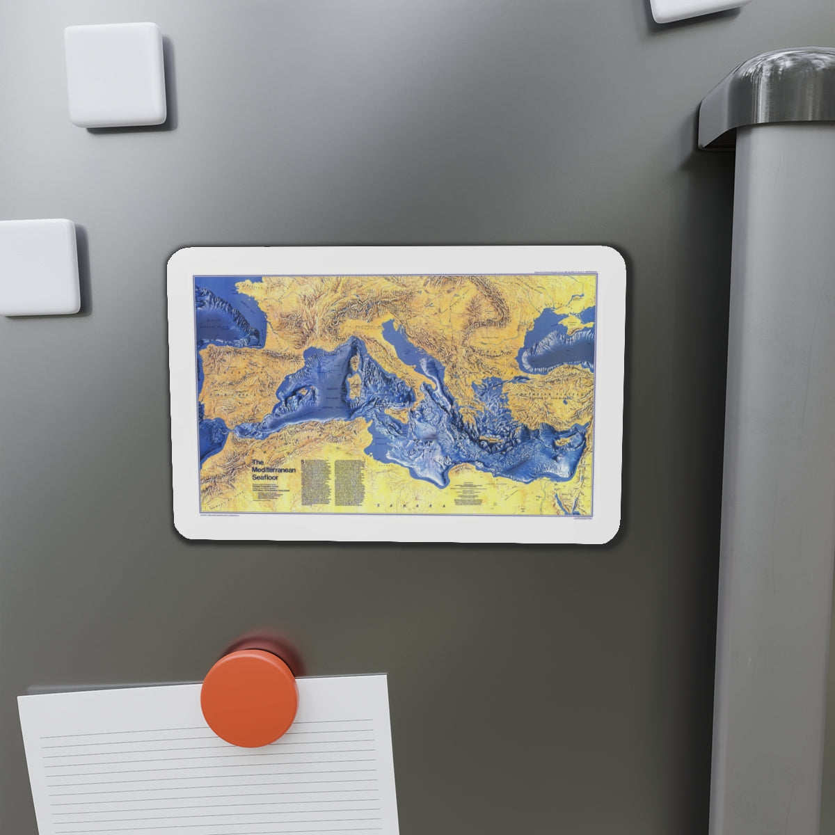 Mediterranean Seafloor (1982) (Map) Refrigerator Magnet-The Sticker Space