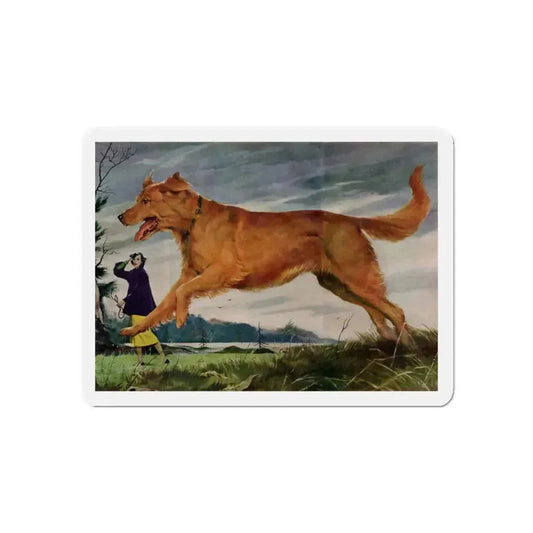 Member of the Family, Redbook, February 1952 (Magazine Illustration) Refrigerator Magnet 6 Inch - The Sticker Space