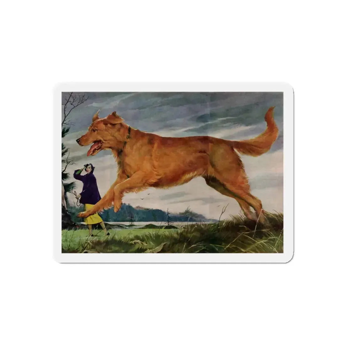 Member of the Family, Redbook, February 1952 (Magazine Illustration) Refrigerator Magnet - The Sticker Space