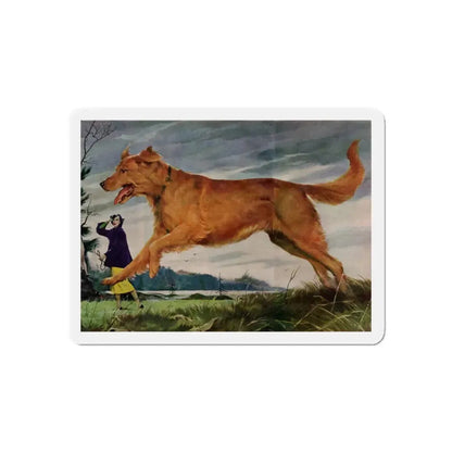 Member of the Family, Redbook, February 1952 (Magazine Illustration) Refrigerator Magnet - The Sticker Space