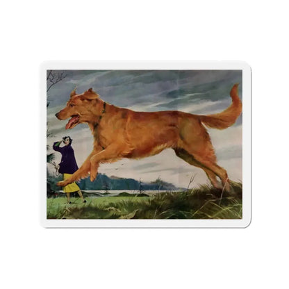 Member of the Family, Redbook, February 1952 (Magazine Illustration) Refrigerator Magnet - The Sticker Space