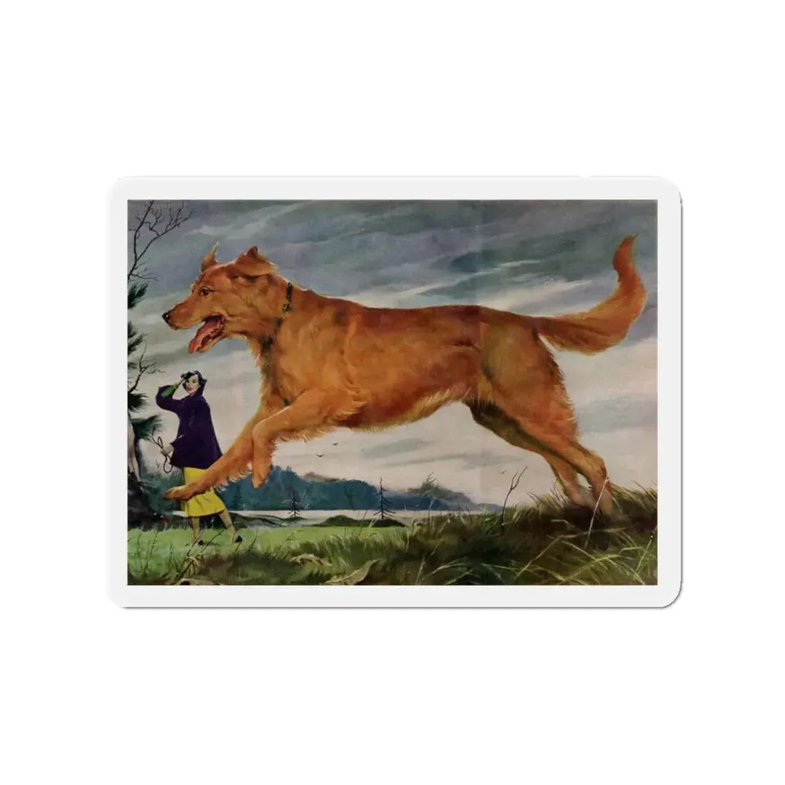 Member of the Family, Redbook, February 1952 (Magazine Illustration) Refrigerator Magnet - The Sticker Space