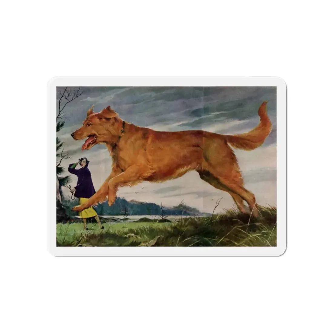 Member of the Family, Redbook, February 1952 (Magazine Illustration) Refrigerator Magnet - The Sticker Space