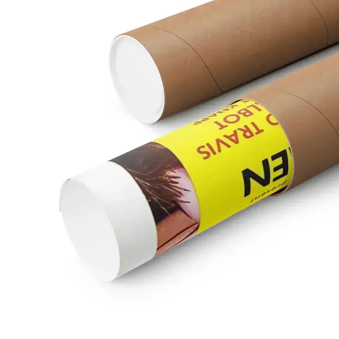 MESA OF LOST WOMEN 1953 - Paper Movie Poster - The Sticker Space