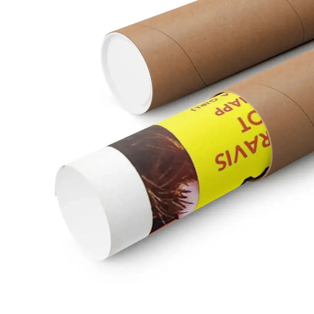 MESA OF LOST WOMEN 1953 - Paper Movie Poster - The Sticker Space