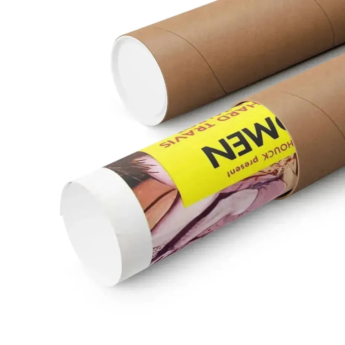 MESA OF LOST WOMEN 1953 - Paper Movie Poster - The Sticker Space