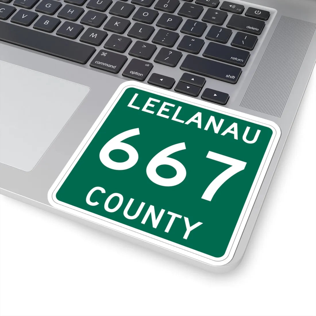Michigan 667 Leelanau County (Michigan) (Road Sign) STICKER Vinyl Kiss-Cut Decal - The Sticker Space