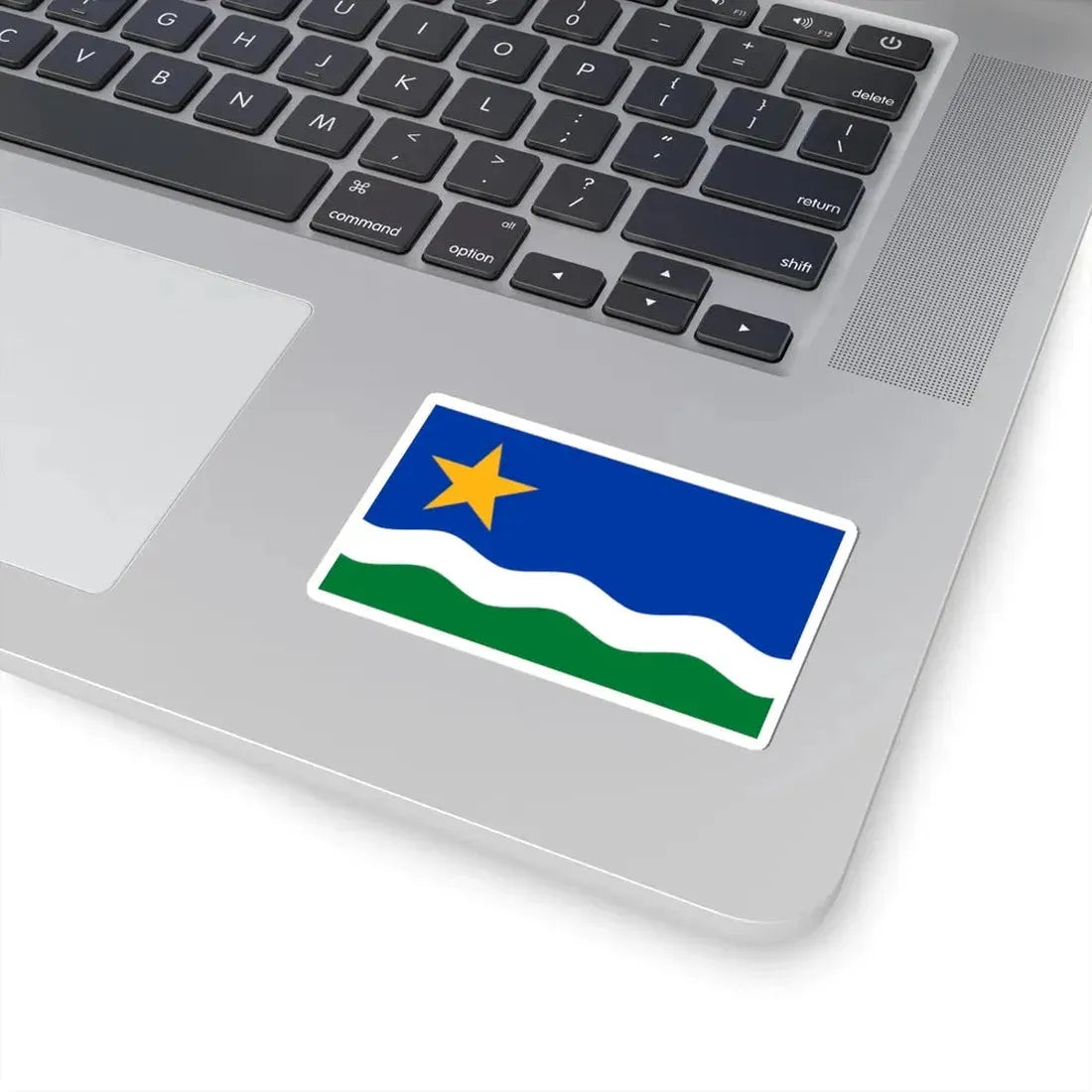 Minnesota North Star Flag (United States) STICKER Vinyl Kiss-Cut Decal - The Sticker Space