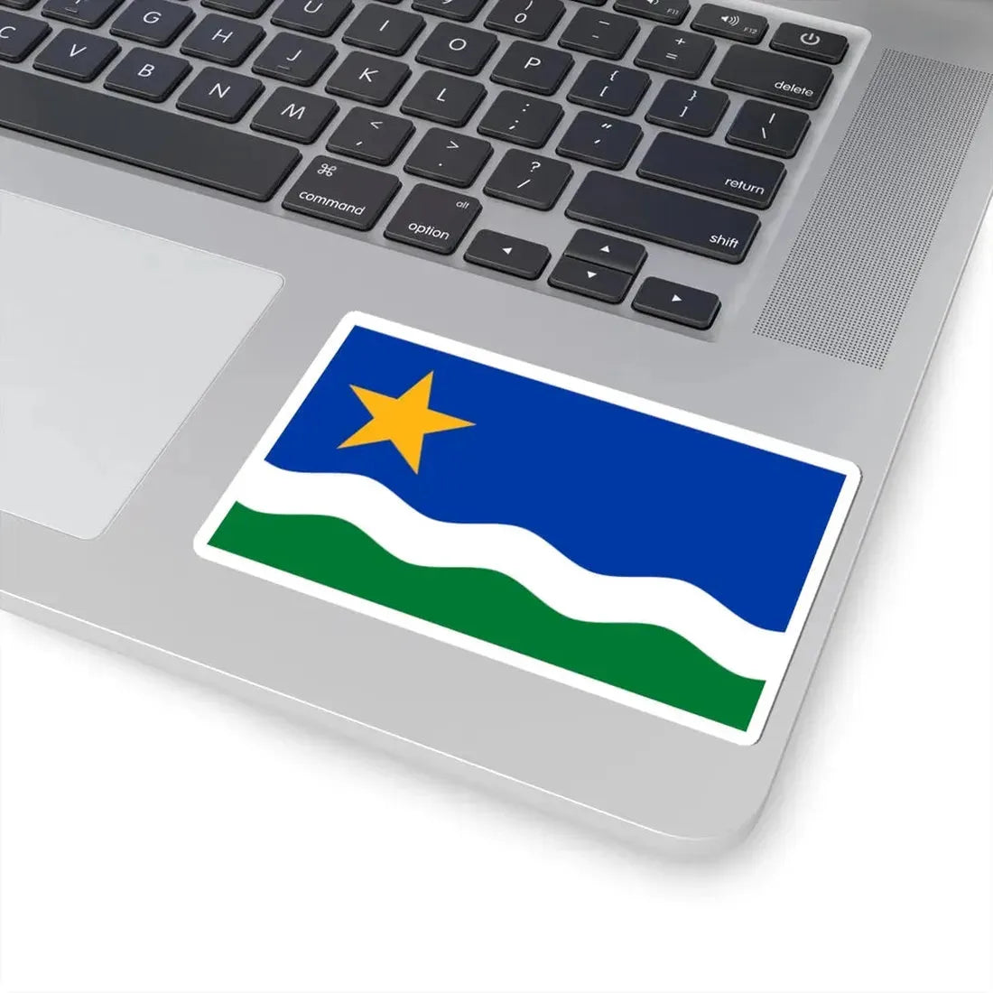 Minnesota North Star Flag (United States) STICKER Vinyl Kiss-Cut Decal - The Sticker Space