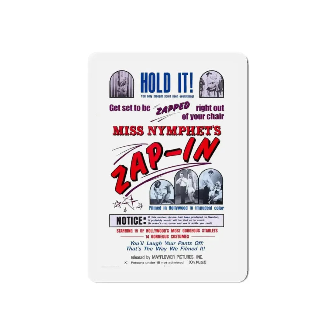 MISS NYMPHETS ZAP IN 1970 Movie Poster - Refrigerator Magnet - The Sticker Space