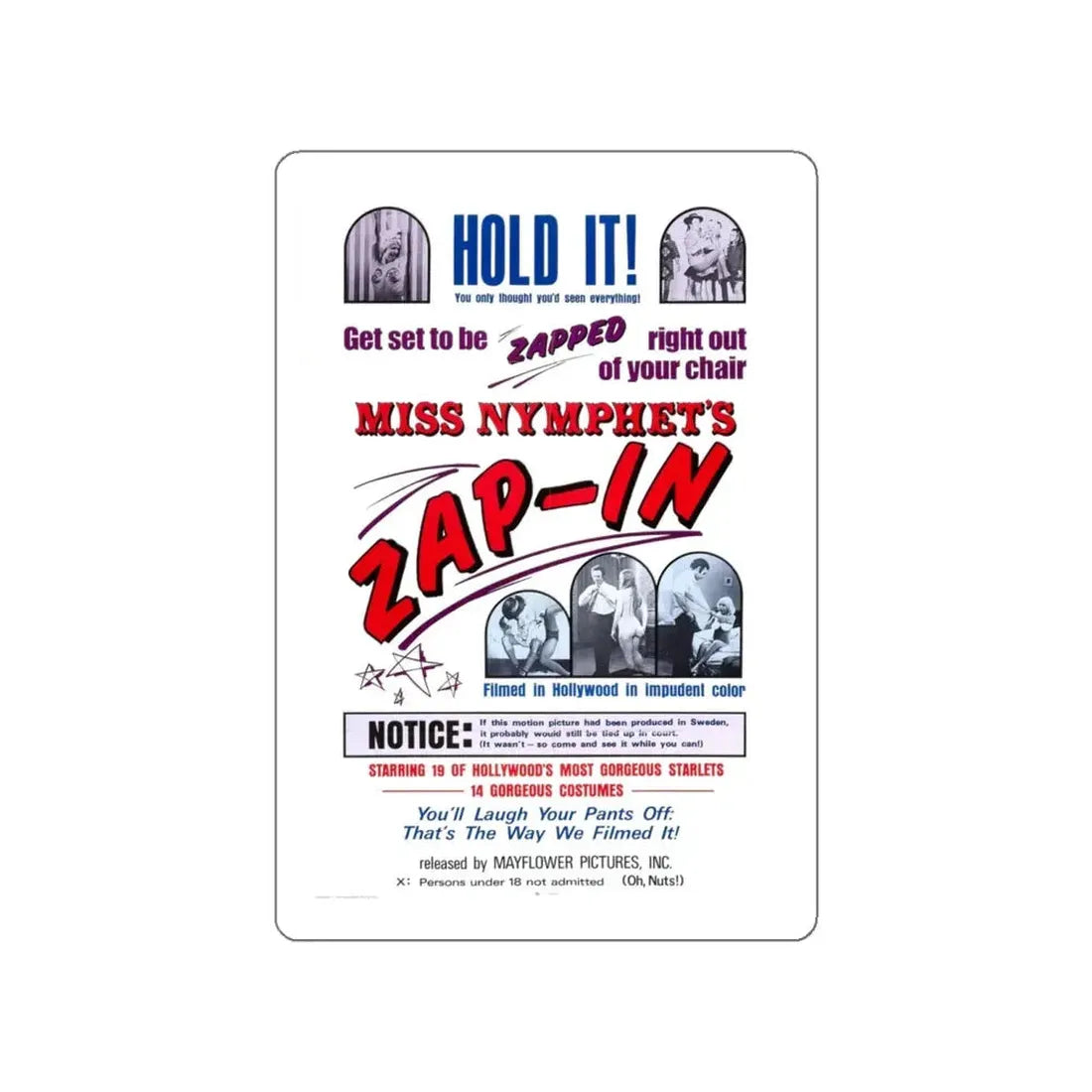 MISS NYMPHETS ZAP IN 1970 Movie Poster STICKER Vinyl Die-Cut Decal 6 Inch - The Sticker Space