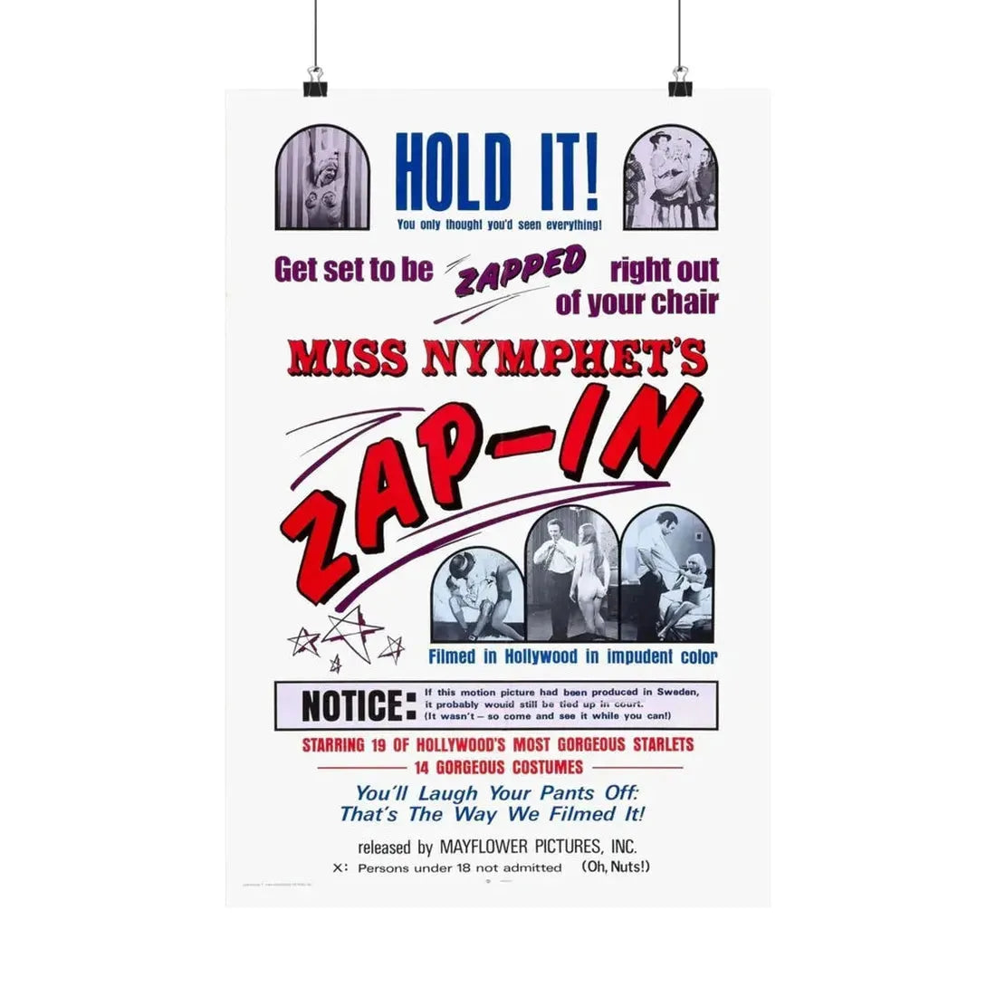 MISS NYMPHETS ZAP IN 1970 - Paper Movie Poster - The Sticker Space