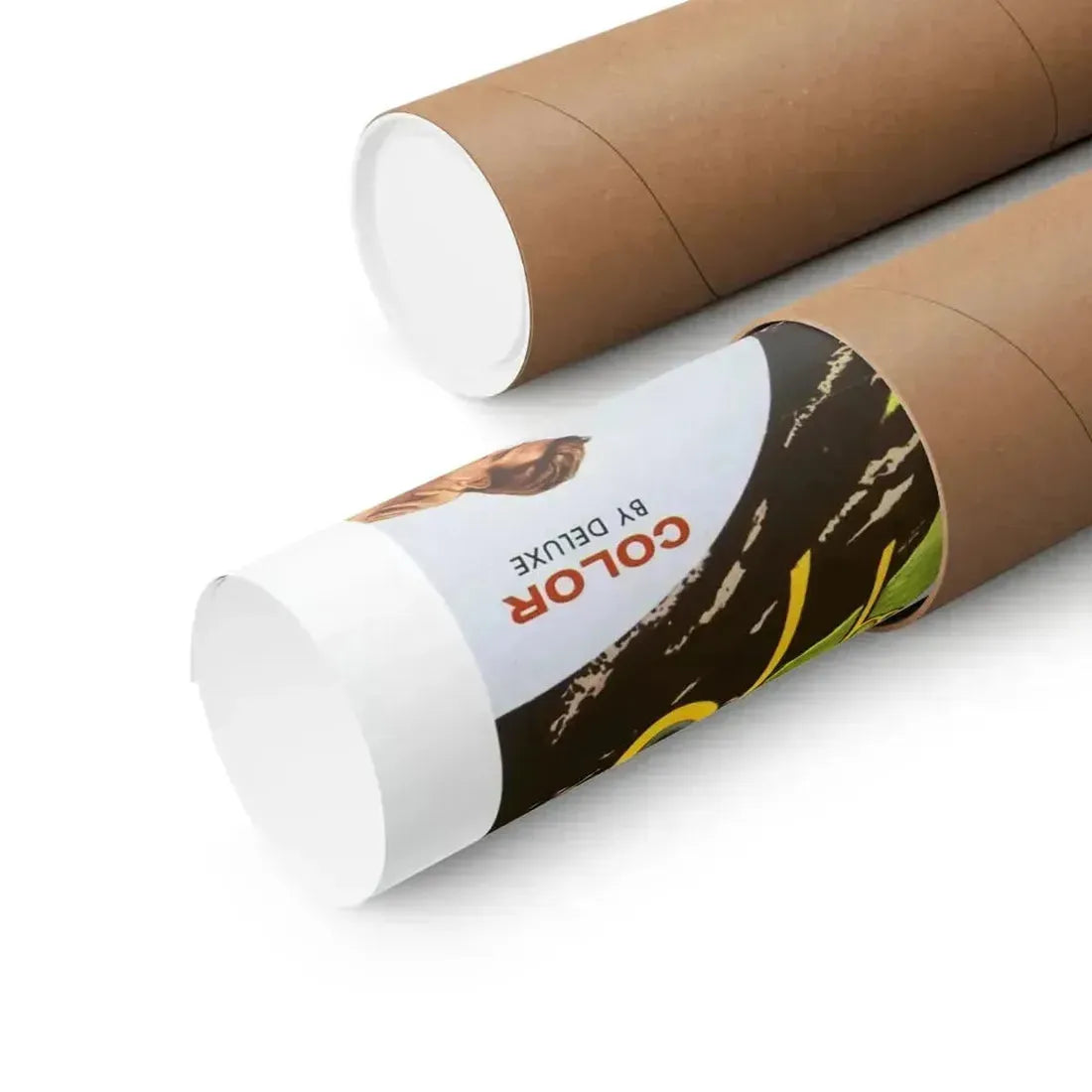 MISSION MARS 1968 - Paper Movie Poster - The Sticker Space