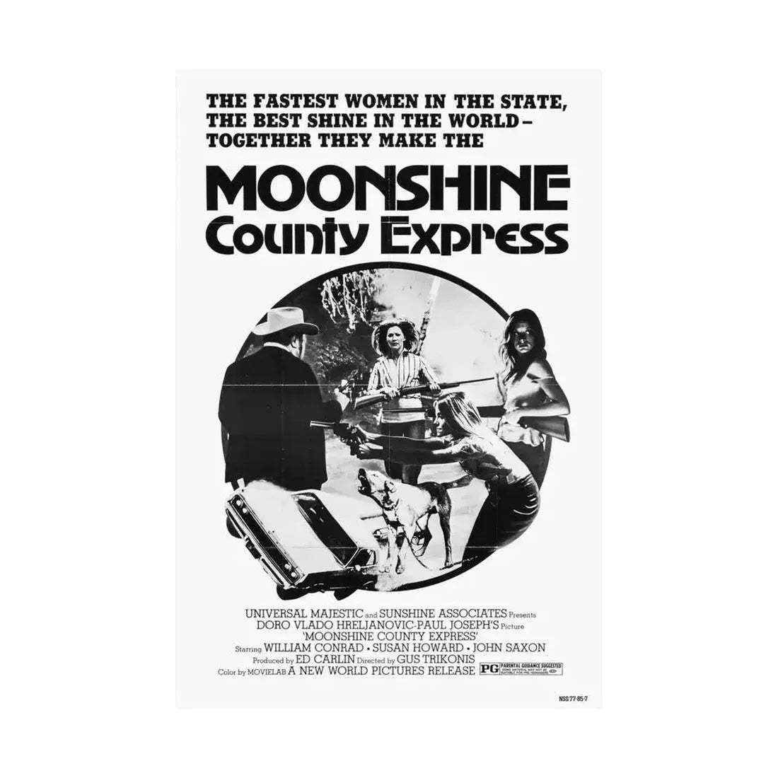 MOONSHINE COUNTY EXPRESS (2) 1977 - Paper Movie Poster - The Sticker Space