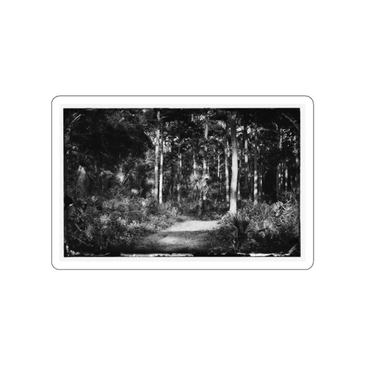 SKU:12999355982104698154 Sticker types:White Shape:Die-Cut Sizes:2" × 2"