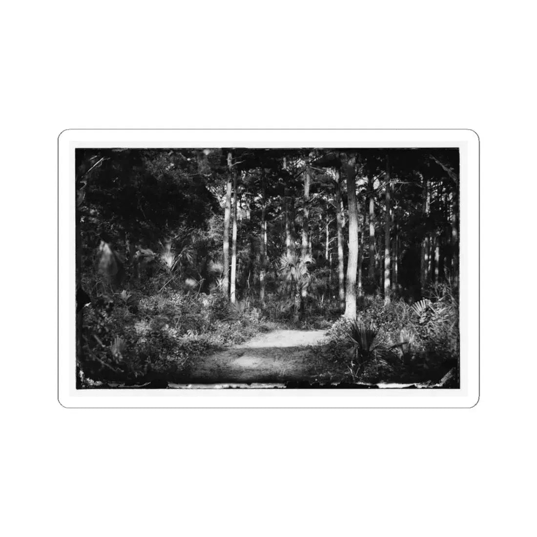 Morris Island, South Carolina 001 (U.S. Civil War) STICKER Vinyl Kiss-Cut Decal 3 Inch White - The Sticker Space