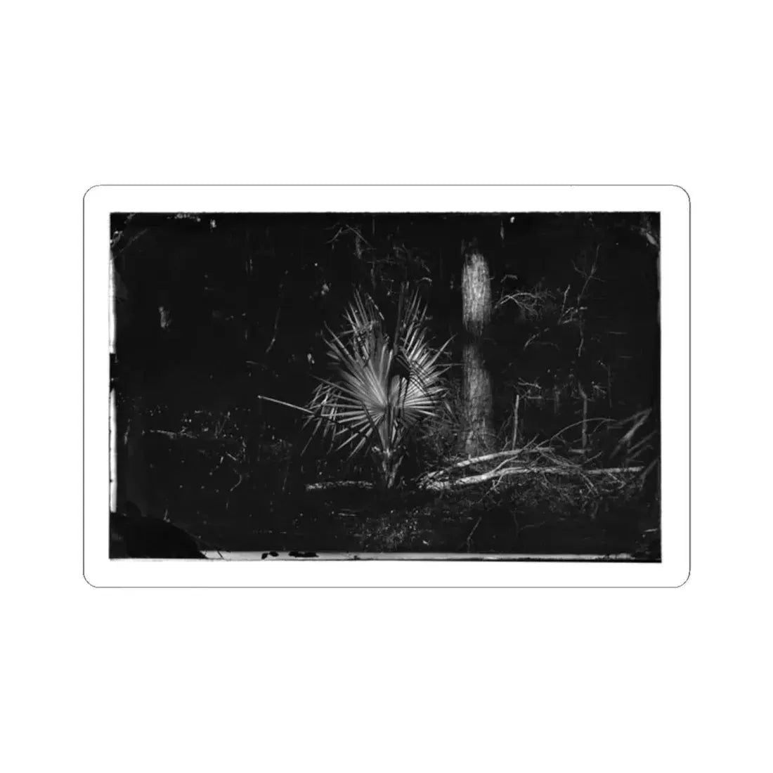 Morris Island, South Carolina 002 (U.S. Civil War) STICKER Vinyl Kiss-Cut Decal 2 Inch White - The Sticker Space