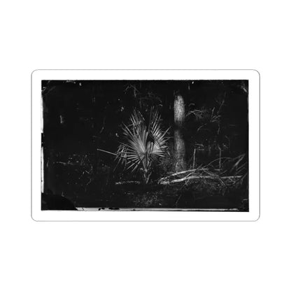 Morris Island, South Carolina 002 (U.S. Civil War) STICKER Vinyl Kiss-Cut Decal 2 Inch White - The Sticker Space