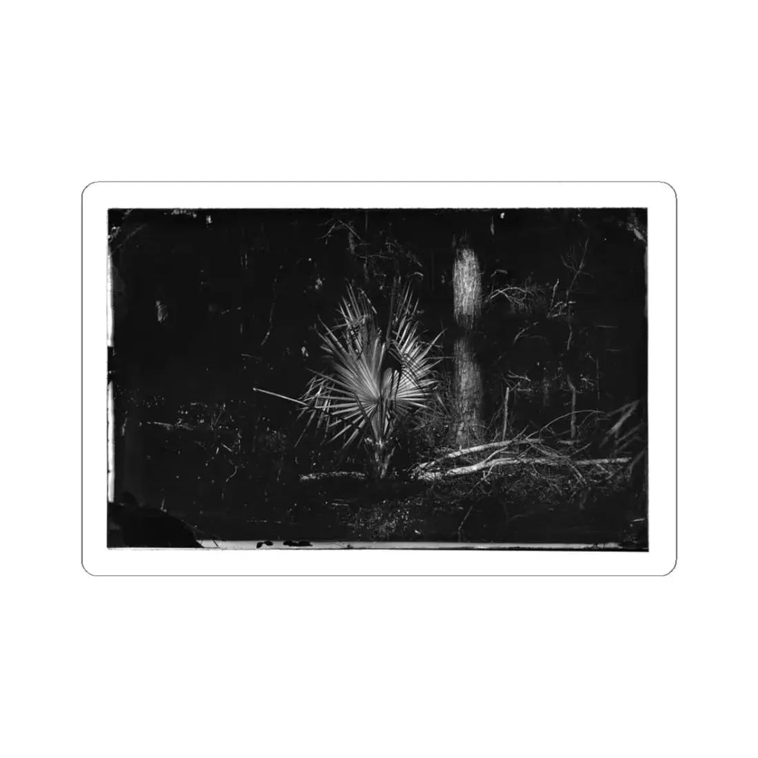 Morris Island, South Carolina 002 (U.S. Civil War) STICKER Vinyl Kiss-Cut Decal 3 Inch White - The Sticker Space