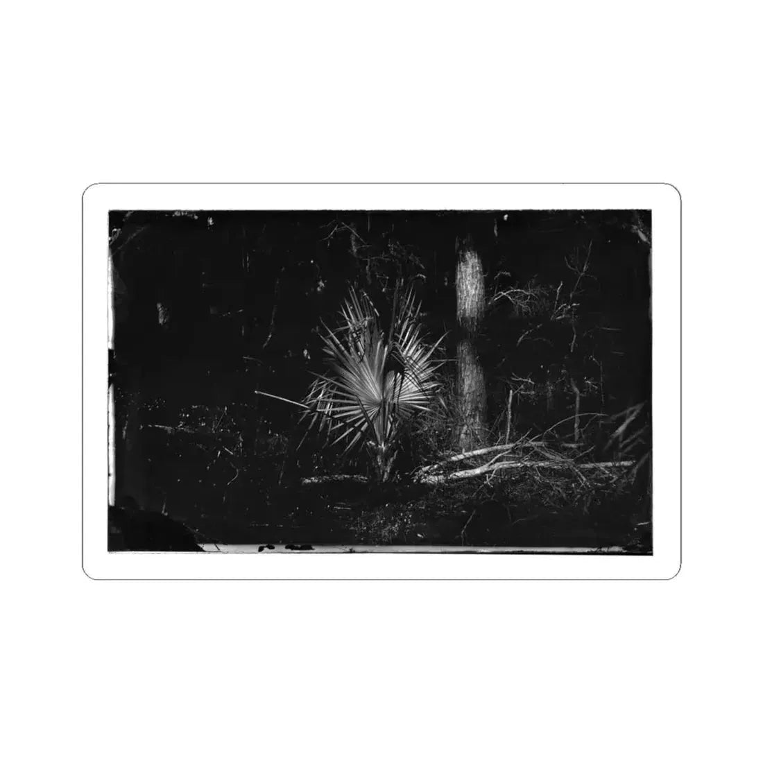 Morris Island, South Carolina 002 (U.S. Civil War) STICKER Vinyl Kiss-Cut Decal 4 Inch White - The Sticker Space