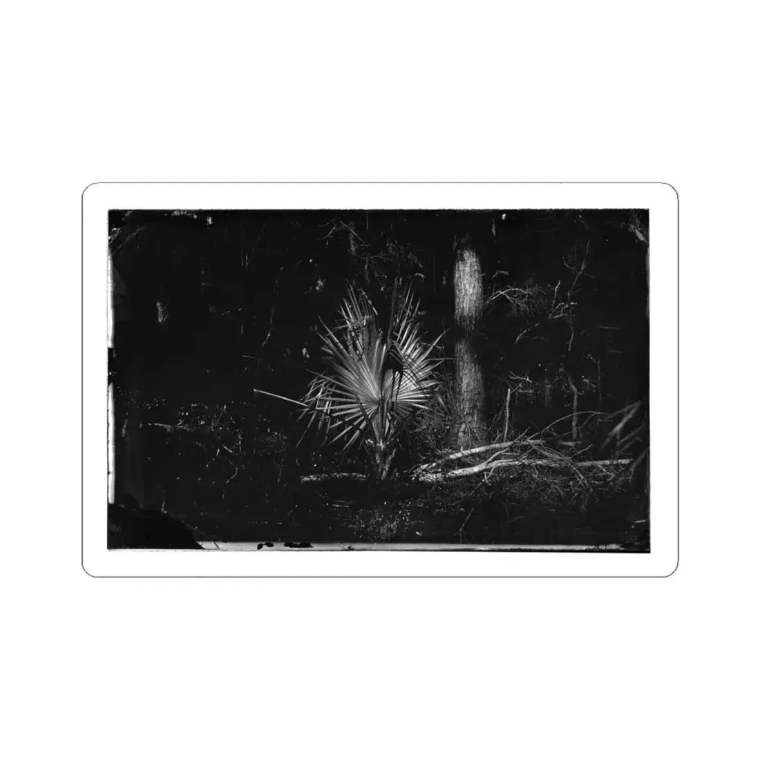 Morris Island, South Carolina 002 (U.S. Civil War) STICKER Vinyl Kiss-Cut Decal 6 Inch White - The Sticker Space