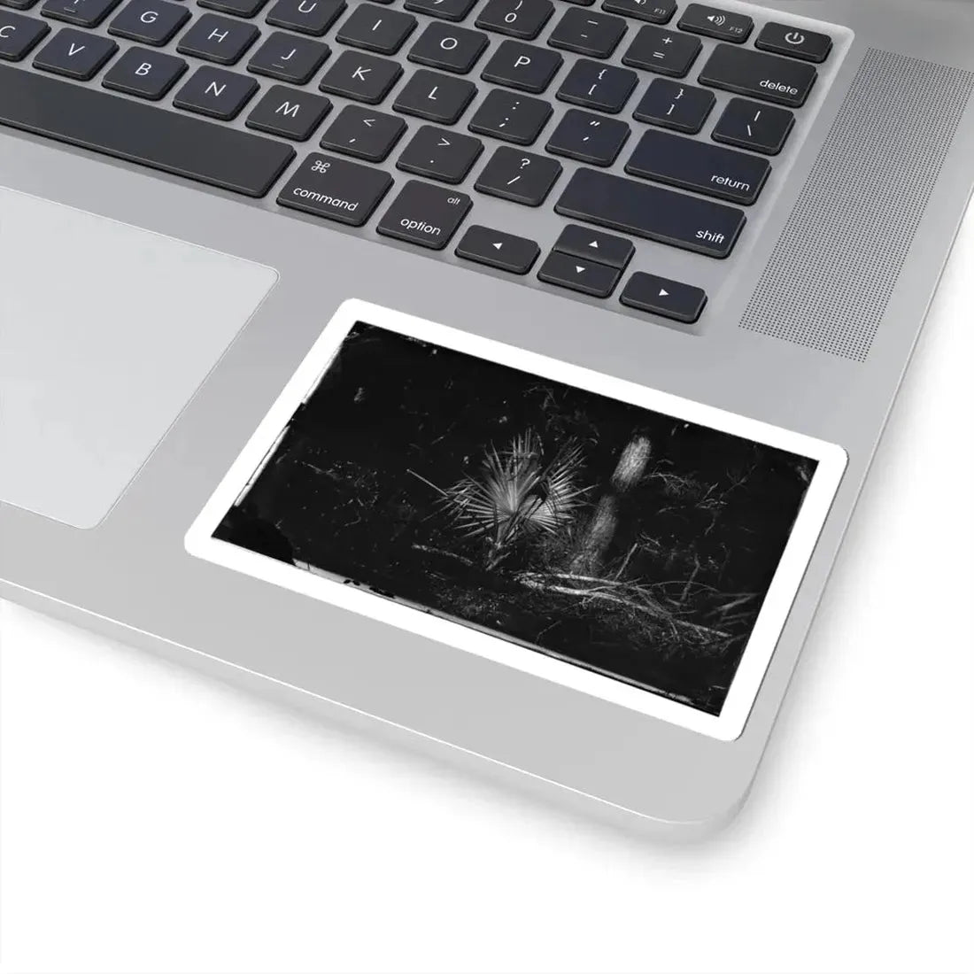 Morris Island, South Carolina 002 (U.S. Civil War) STICKER Vinyl Kiss-Cut Decal - The Sticker Space