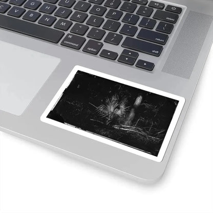 Morris Island, South Carolina 002 (U.S. Civil War) STICKER Vinyl Kiss-Cut Decal - The Sticker Space