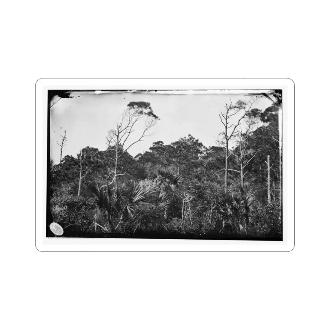 Morris Island, South Carolina (U.S. Civil War) STICKER Vinyl Kiss-Cut Decal 3 Inch White - The Sticker Space