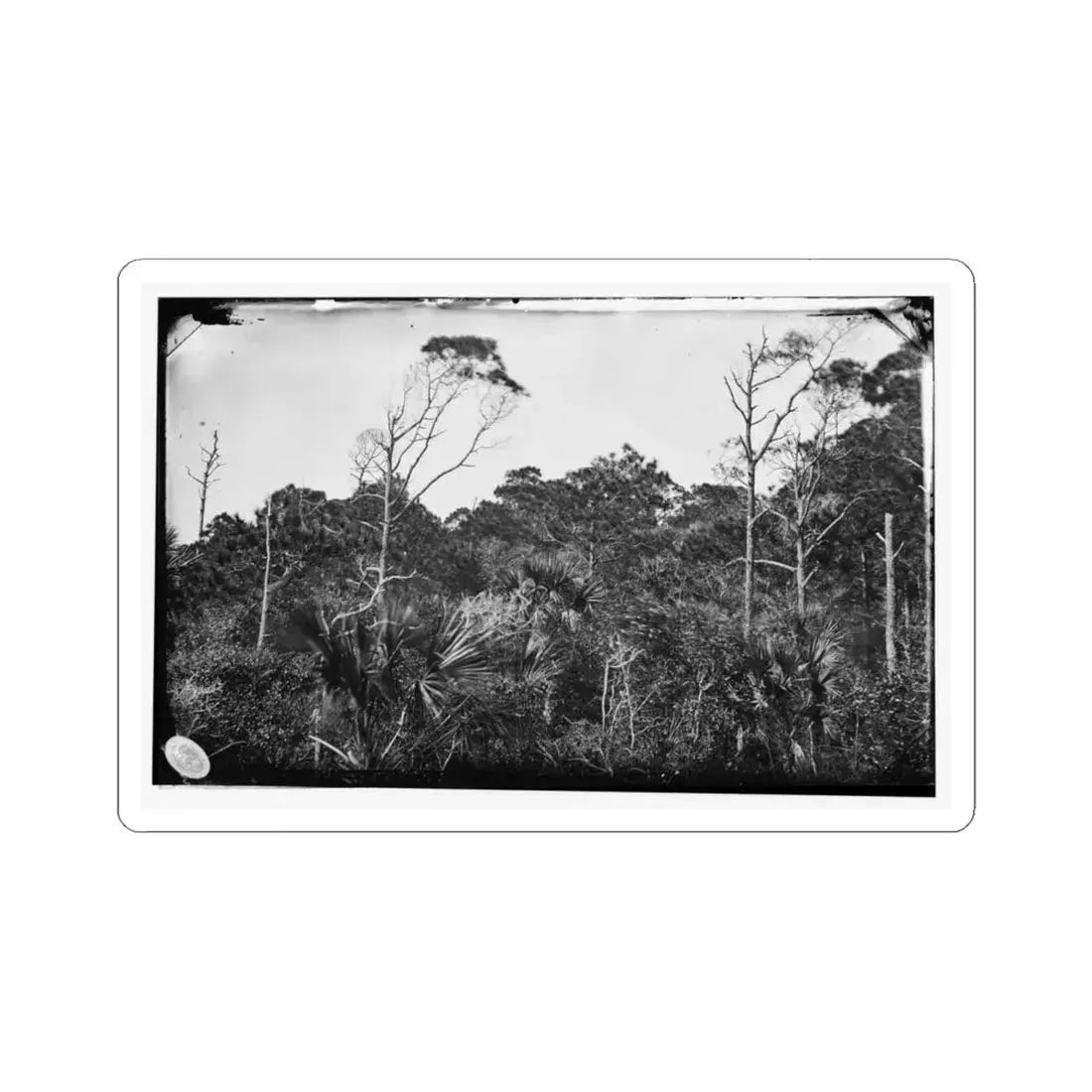 Morris Island, South Carolina (U.S. Civil War) STICKER Vinyl Kiss-Cut Decal 6 Inch White - The Sticker Space