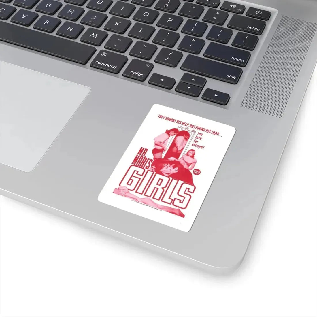 MR MARI'S GIRLS 1967 Movie Poster - STICKER Vinyl Kiss-Cut Decal - The Sticker Space