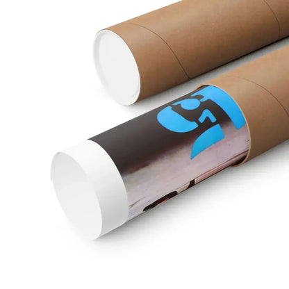 MS. 45 (ANGEL OF VENGEANCE) 1981 - Paper Movie Poster - The Sticker Space