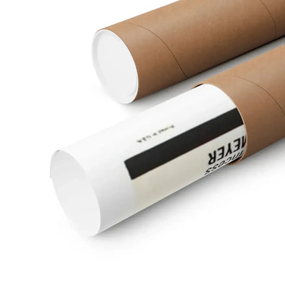 MUDHONEY 1965 - Paper Movie Poster - The Sticker Space