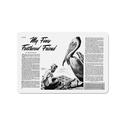 My Fine Feathered Friend, Man To Man, December 1949 (Magazine Illustration) Refrigerator Magnet-3" x 3"-The Sticker Space