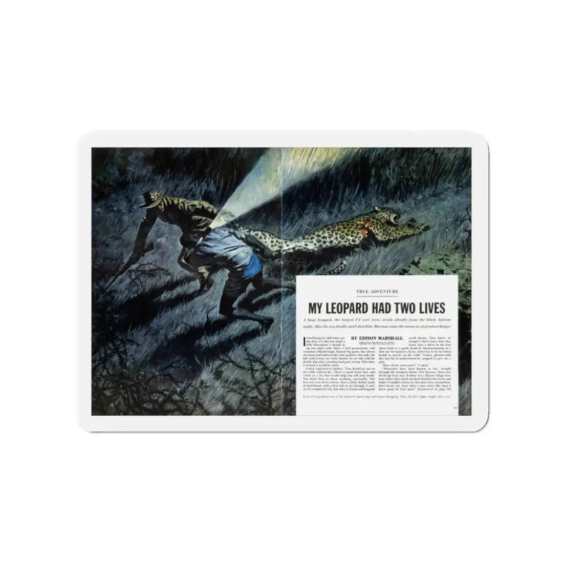 My Leopard Had Two Lives, Cavalier magazine, February 1957 (Magazine Illustration) Refrigerator Magnet 3 Inch - The Sticker Space