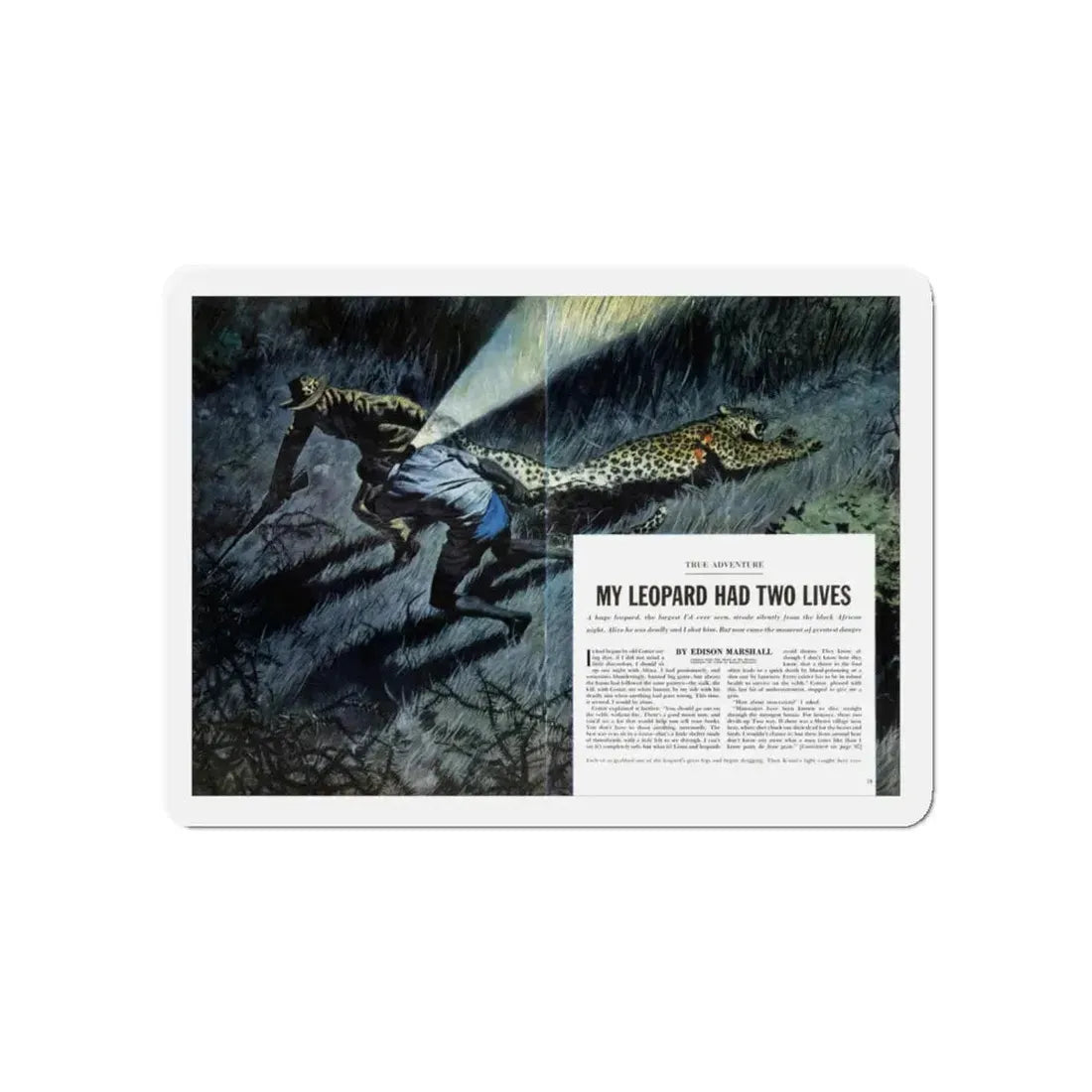 My Leopard Had Two Lives, Cavalier magazine, February 1957 (Magazine Illustration) Refrigerator Magnet 5 Inch - The Sticker Space