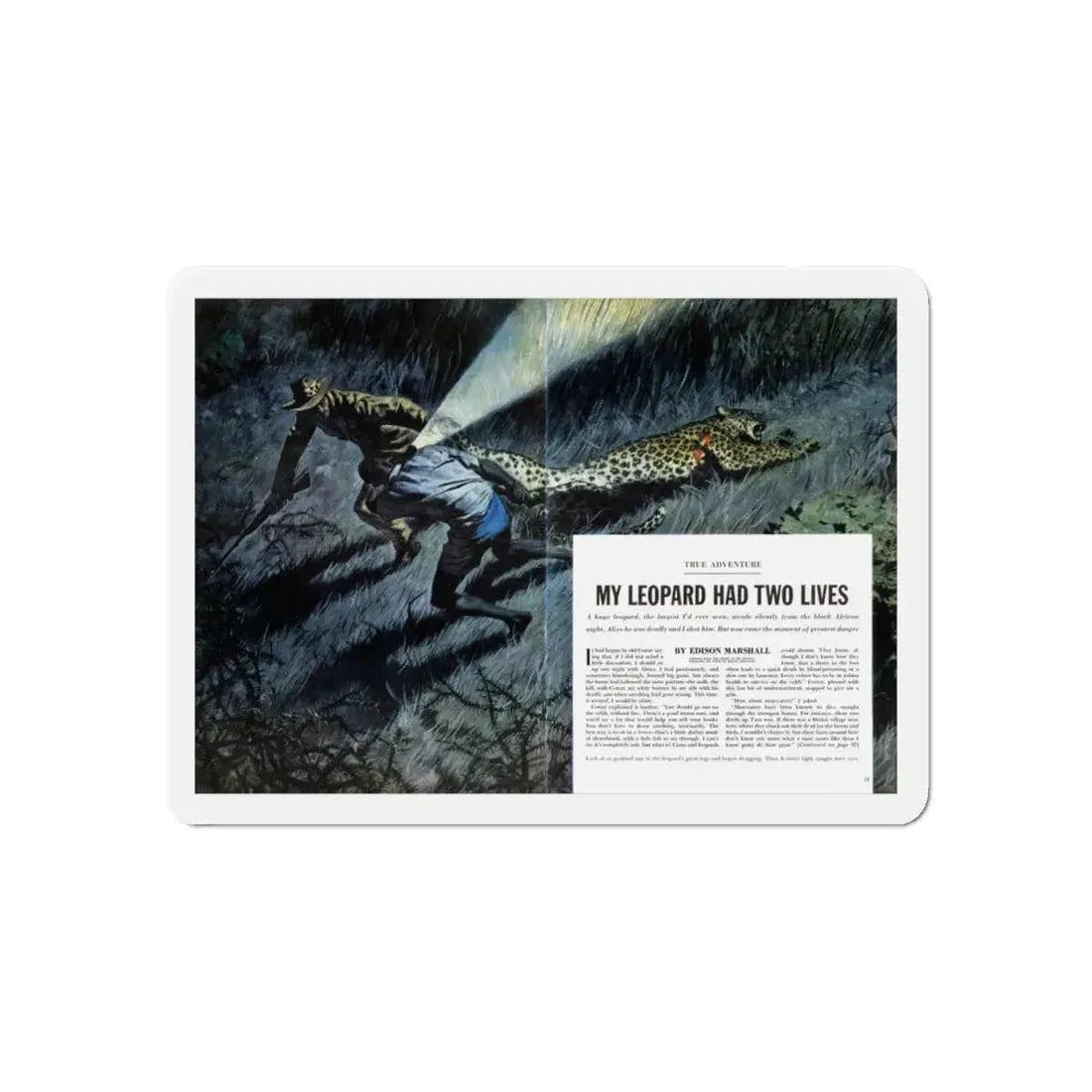 My Leopard Had Two Lives, Cavalier magazine, February 1957 (Magazine Illustration) Refrigerator Magnet 6 Inch - The Sticker Space