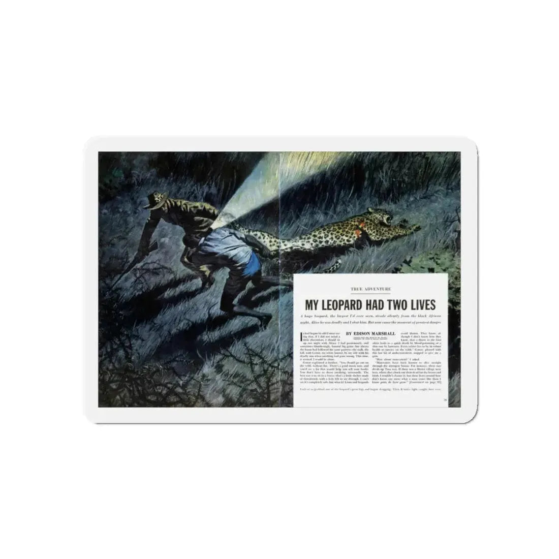 My Leopard Had Two Lives, Cavalier magazine, February 1957 (Magazine Illustration) Refrigerator Magnet - The Sticker Space