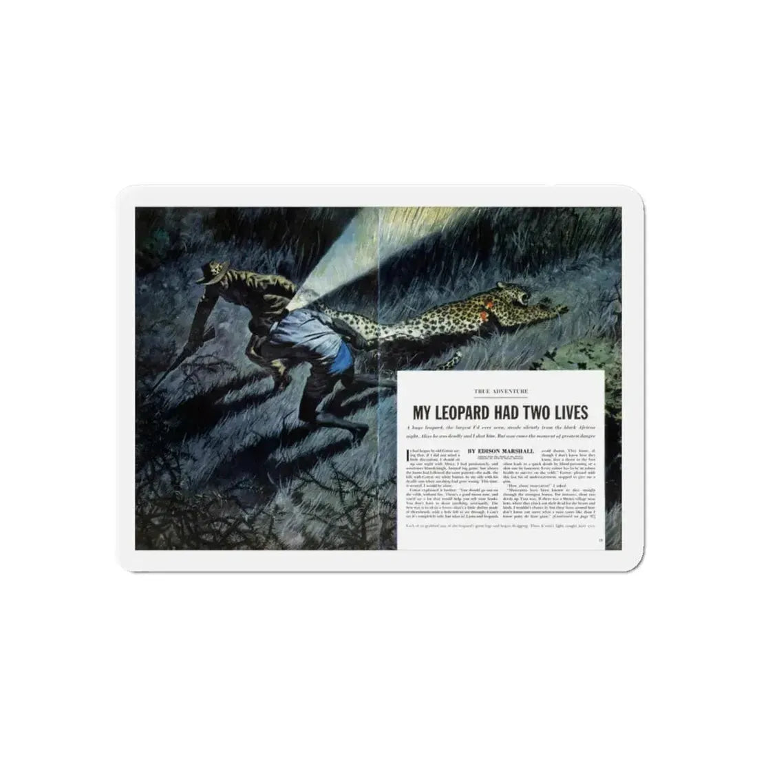 My Leopard Had Two Lives, Cavalier magazine, February 1957 (Magazine Illustration) Refrigerator Magnet - The Sticker Space