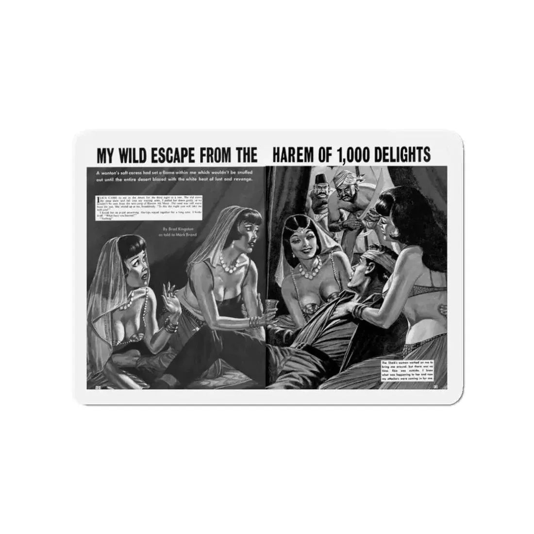 My Wild Wscape From The Harem Of 1,000 Delights, World of Men, May 1967 (Magazine Illustration) Refrigerator Magnet 3 Inch - The Sticker Space