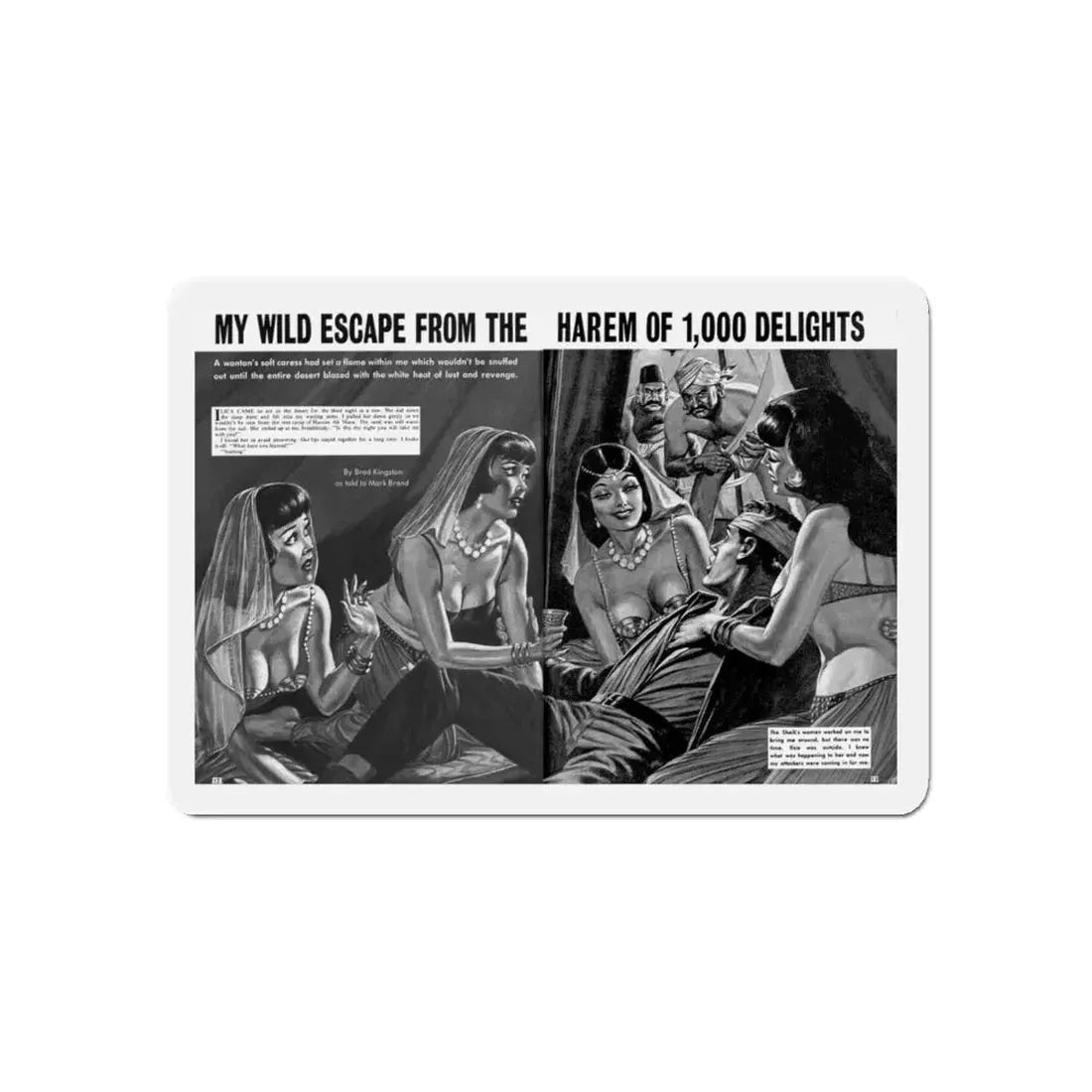 My Wild Wscape From The Harem Of 1,000 Delights, World of Men, May 1967 (Magazine Illustration) Refrigerator Magnet - The Sticker Space