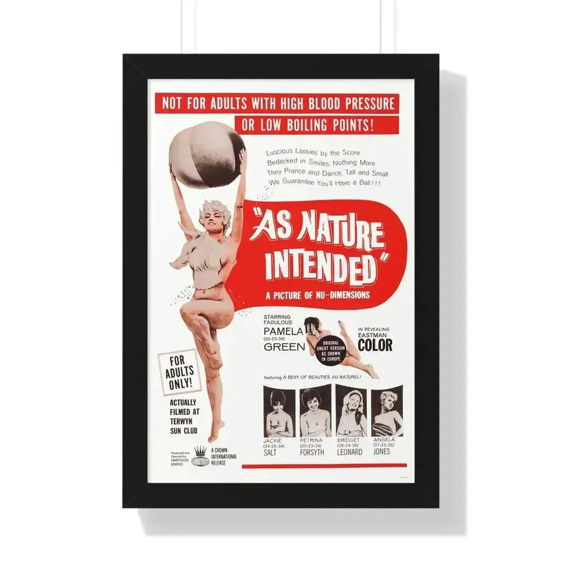 NAKED AS NATURE INTENDED 1961 - Framed Movie Poster 16″ x 24″ Black - The Sticker Space