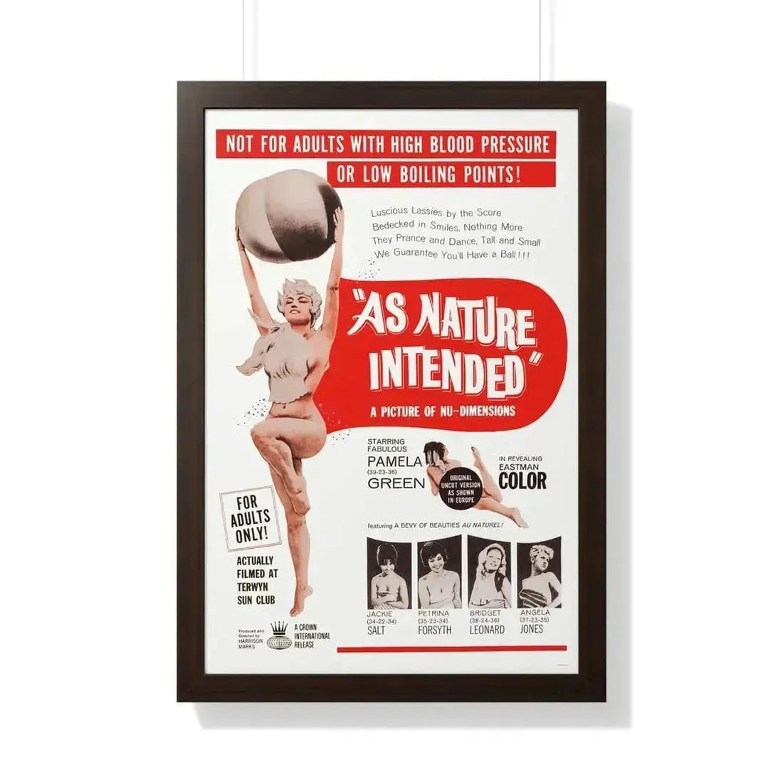 NAKED AS NATURE INTENDED 1961 - Framed Movie Poster 20" x 30" Walnut - The Sticker Space