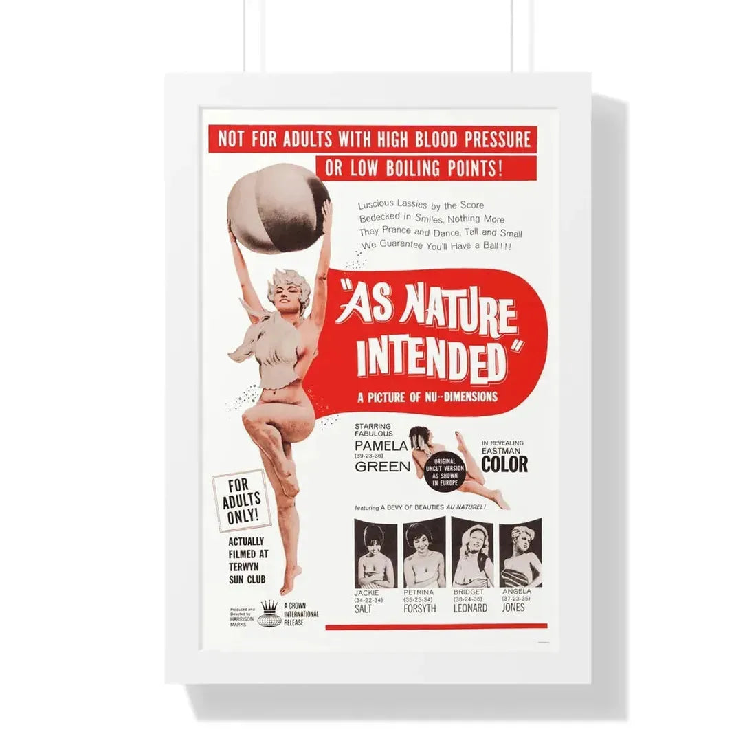 NAKED AS NATURE INTENDED 1961 - Framed Movie Poster - The Sticker Space