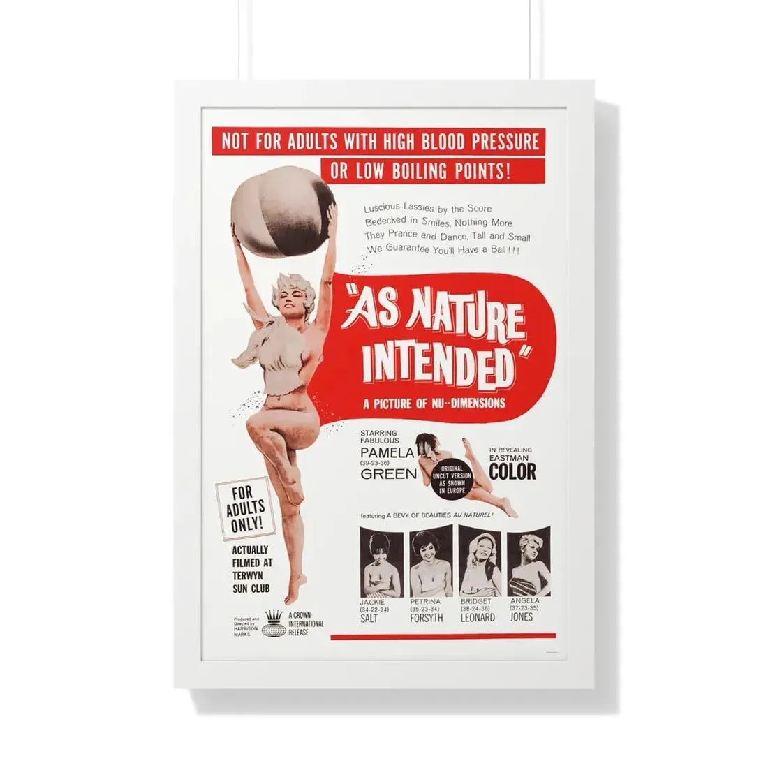 NAKED AS NATURE INTENDED 1961 - Framed Movie Poster - The Sticker Space